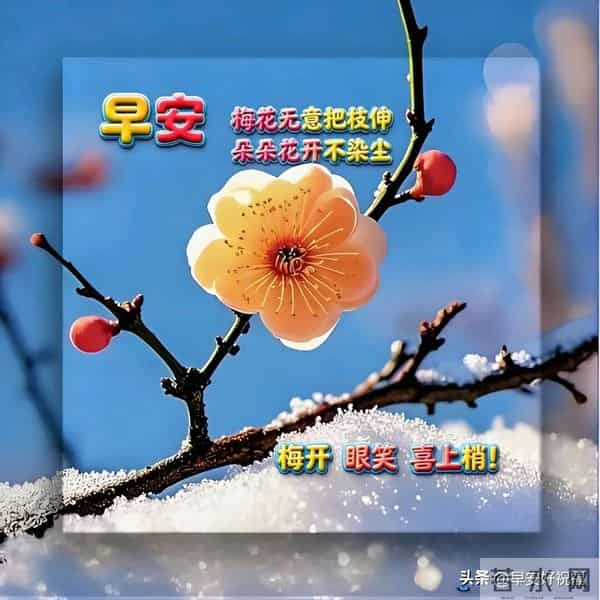 24张今日最新早安好祝福漂亮图片精选，新的一天，愿我们顺风顺水