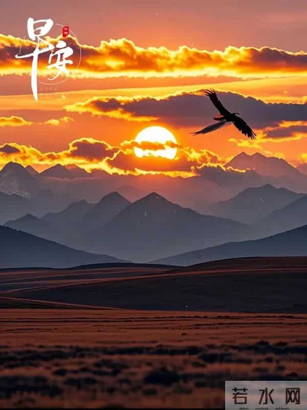 2025年12月10日周三早安 早上好图片最新今天 温馨淡雅的早安图片