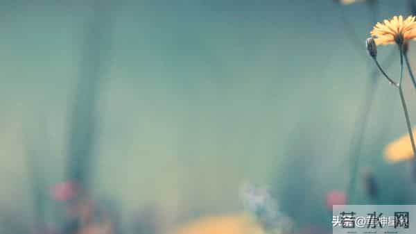 12月10日，狮子座，未来9日，会有事即将发生！