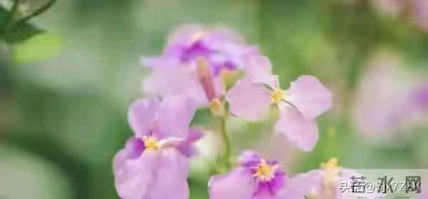 忠告子女:再孝顺,也不要为年过70的老父老母,做这4件事