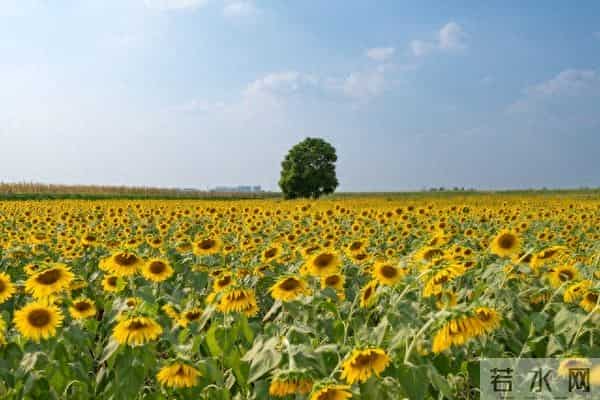 两性关系-男人要明白，女人无论多大年龄，都有一个这样的要求
