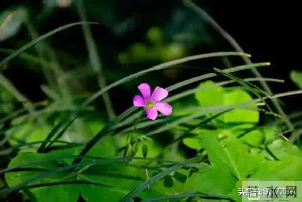 忠告子女:再孝顺,也不要为年过70的老父老母,做这4件事