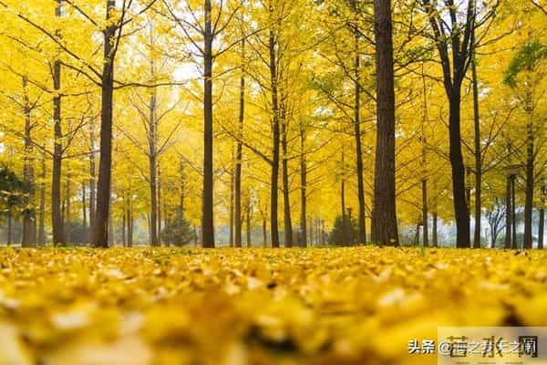 人生的道路上想活的通透快乐,就一定要远离四种人