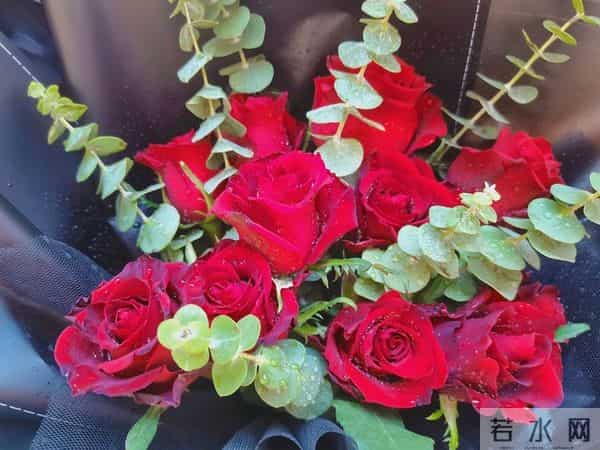 别把孝顺攒到以后，父母等不起；趁来得及，把爱放进每一次的问候