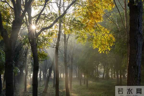 学会一种很厉害的本事：大大方方地“小气”