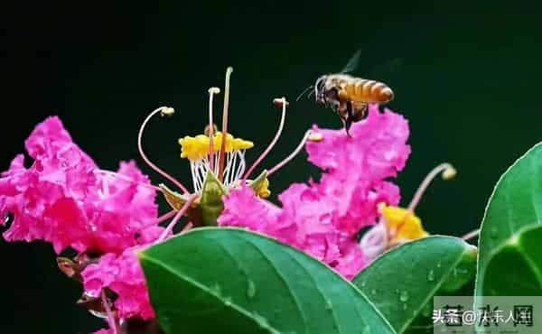 惊人的因果关系-男女之间,一旦发生暧昧关系,一辈子也忘不了