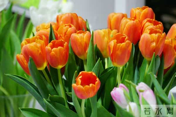 你是我爱的人,是我唯一最深爱的人