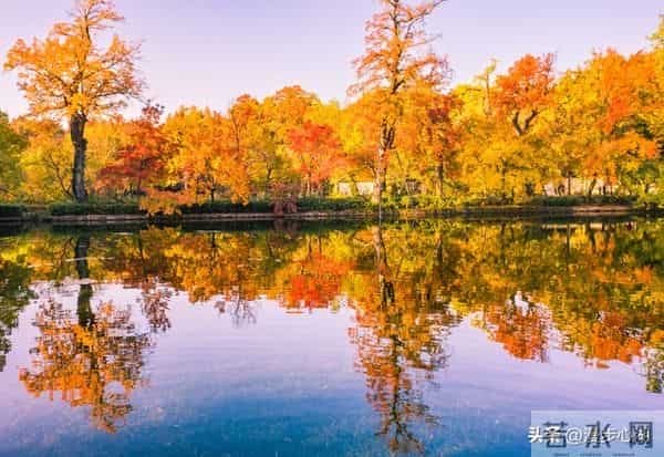 忠告子女：再孝顺，也不要为年过75的老父老母，做这4件事