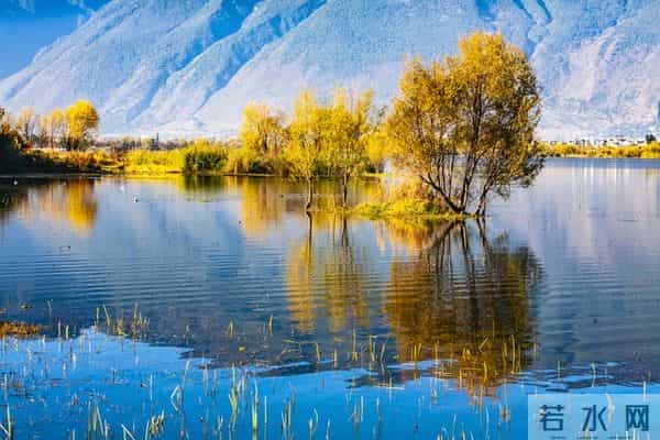 老了才明白：父母一旦超过65，立刻停止几种行为，否则晚景会凄凉