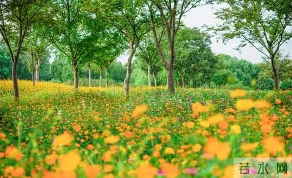 女人这样和男人联系，其实是在拒绝你，你就不要打拢了