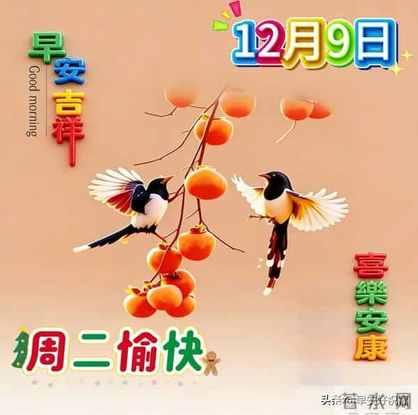 24张今日最新早安好祝福漂亮图片精选，新的一天，愿我们顺风顺水