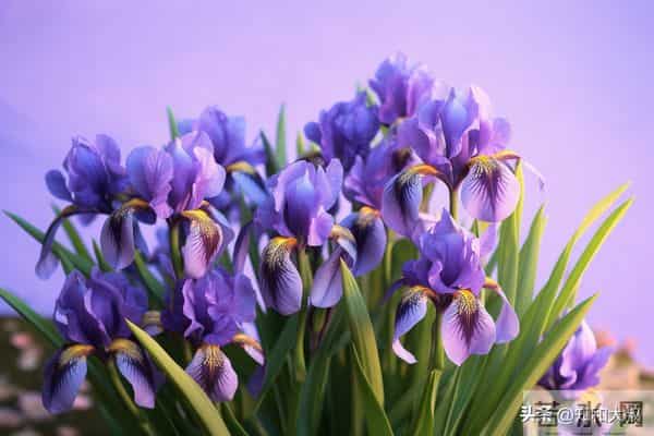 一个女人，身上有这3个习惯，说明她很聪明、不简单