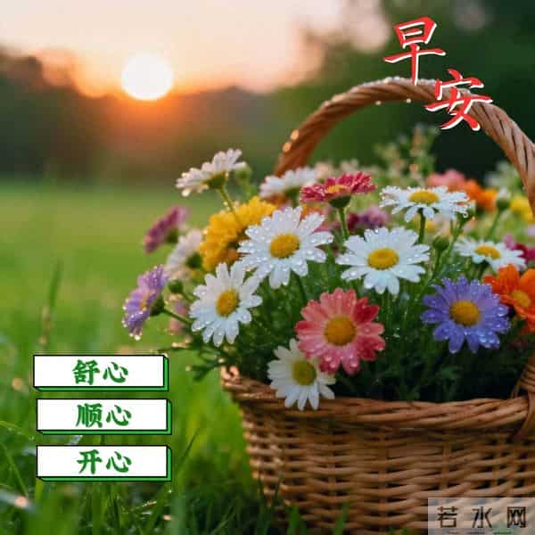 2025.12.09早安问候漂亮图片祝福美图