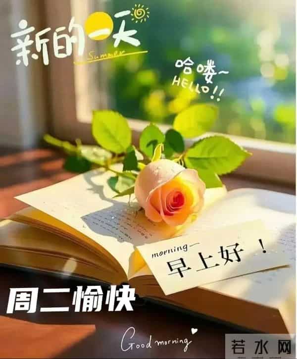 2025年12月9日早上好 早上好温馨问候祝福语 早安精美图片 周二愉快