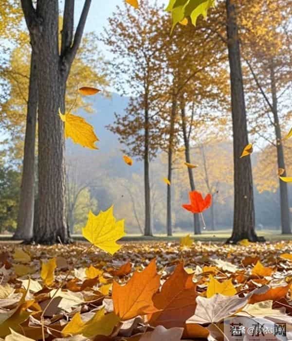 亲人离世后,家人会大病一场,有人挺过来了,而有人没有挺过来