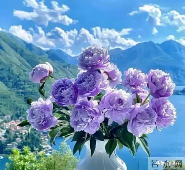 已婚女人想让你“得手”?这4个信号太明显,别傻傻错过!