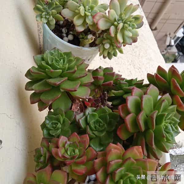 摔伤了腰的雇主真能折腾人，一夜喊几次说腰太疼了让给他揉揉按按