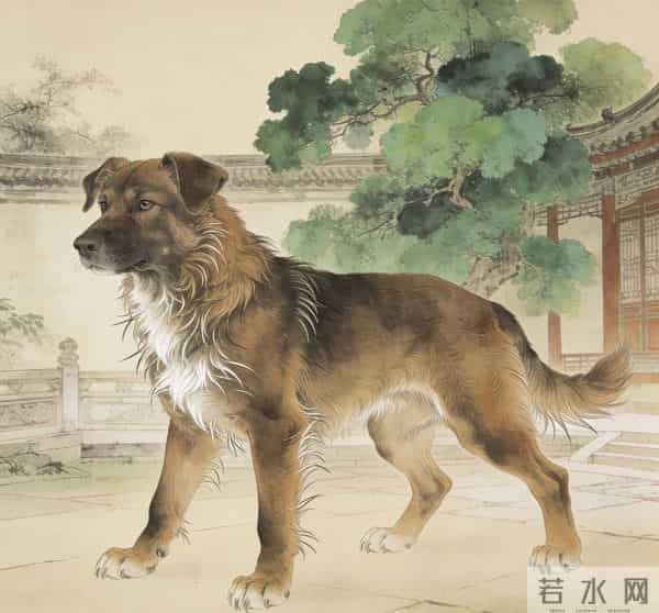 戌狗听好！12月11日后，一场突如其来的事或让你泪湿眼眶，快看