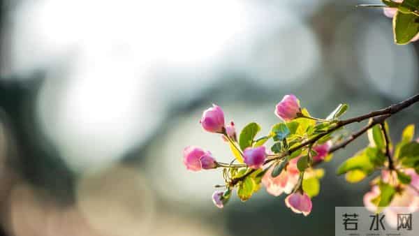 父亲过世老伴出差,公婆姑姐找借口没参加,女人收拾行李回了娘家