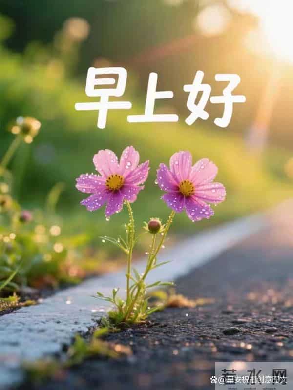 12.10号早安祝福图片