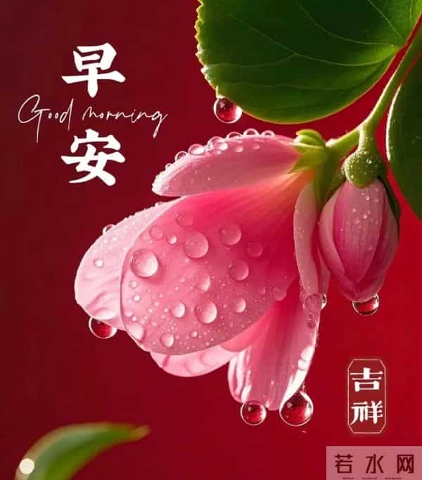 12.10早安!吉日启晨,福运常伴|愿三餐暖腹,四季无忧!