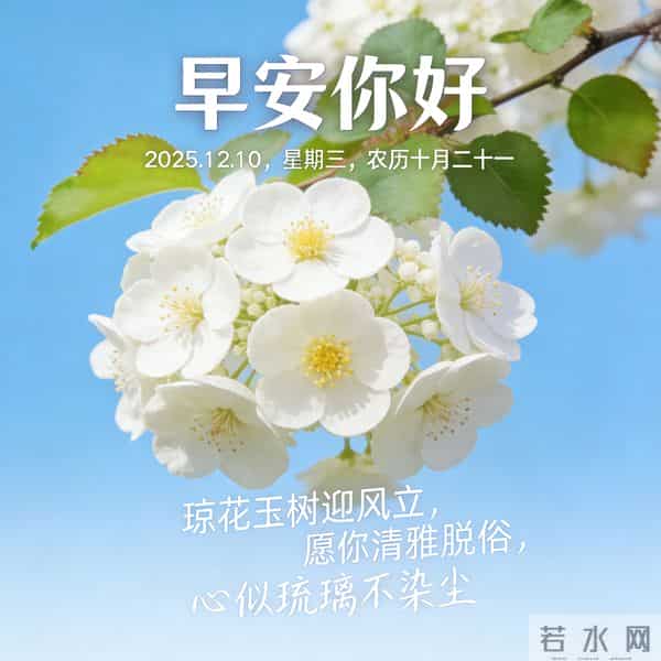 2025.12.10 早安祝福 围巾手套御严寒 亲友叮咛情意暖 早安幸福万年长