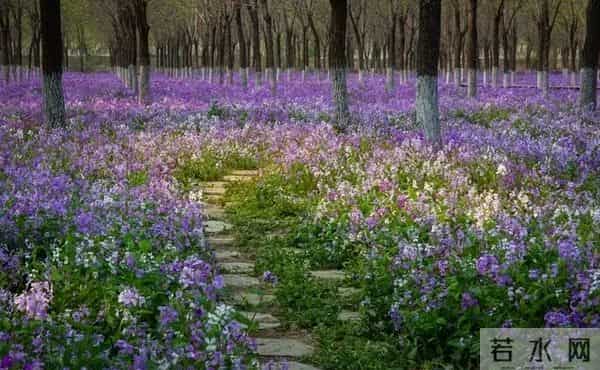 女人这样和男人联系，其实是在拒绝你，你就不要打拢了