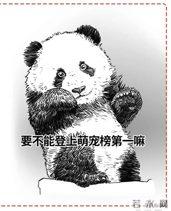 丹凤眼、桃花眼、杏仁眼…30秒自测眼型