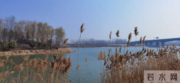 老家的大哥（一）：劳苦一生，人走无痕