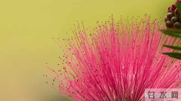 12月10日星期三,未羊,可能会有有事发生