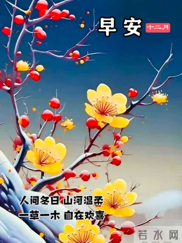 早安,不负冬日好时光