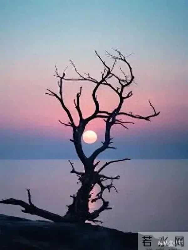 人过六十后才知道:人生有四祸,躲过就是福