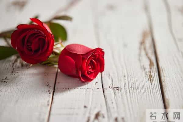 你是我的梦中情人，是我一生的挚爱