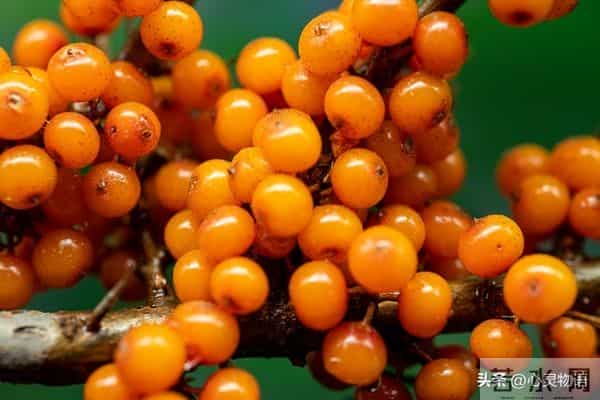 男人爱你”和“男人玩你”，身体语言不会说谎。