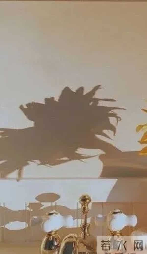 本周运势提醒(2025-12-8—12-15)