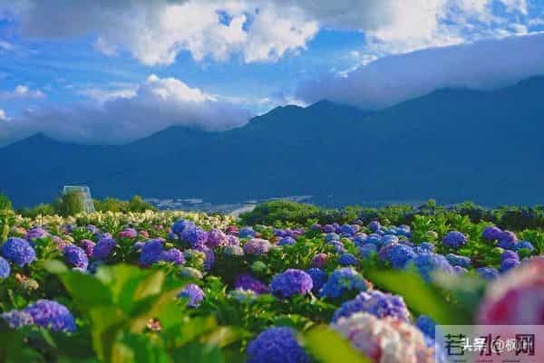 两性关系:多数女性步入60岁,最藏不住的4个渴望,你真的明白吗