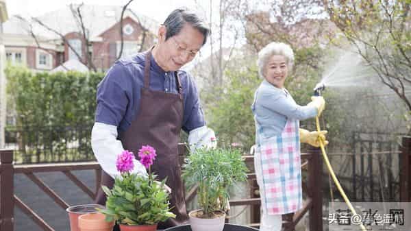 老了才明白，过了70岁最好的活法是记住这六句话，晚年越过越舒坦