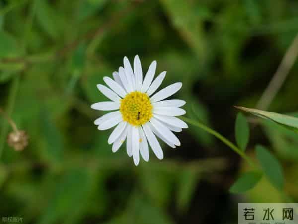 真正想分手的男人，往往不是冷暴力，而是这3种态度