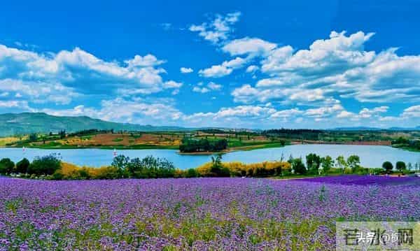 两性关系:多数女性步入60岁,最藏不住的4个渴望,你真的明白吗