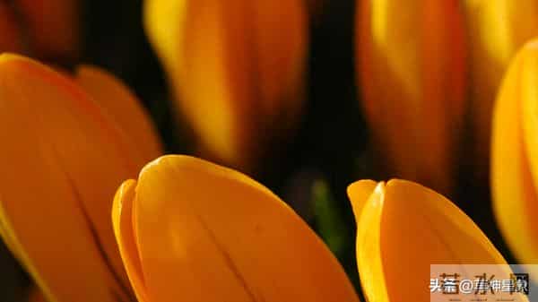 12月10日，双子座，未来9日，会有大的事发生！