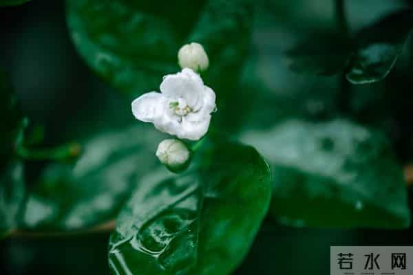 两性关系：人到晚年，如有异性靠近，不是桃花开，是你心里开了光