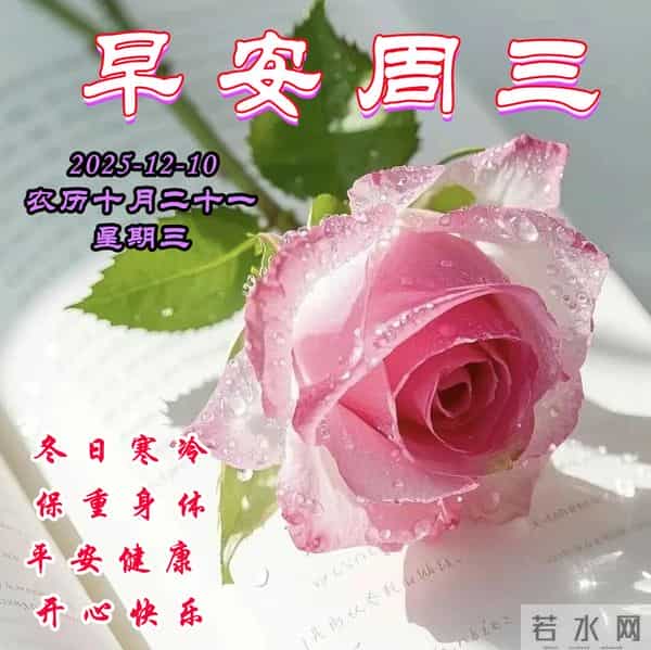 周三早安问候美图-冬意渐浓,时光清浅;心若安然,幸福蔓延