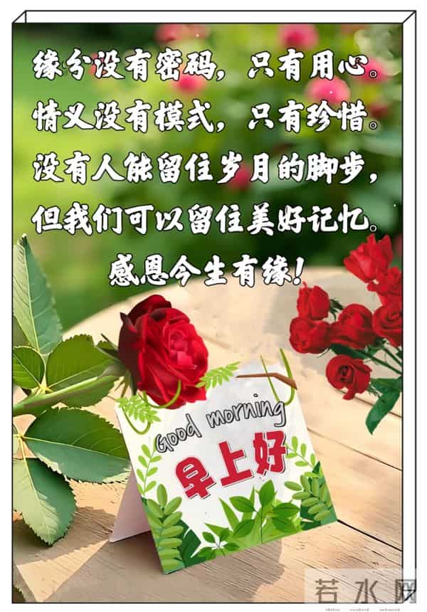 一抹晨安，一生情牵