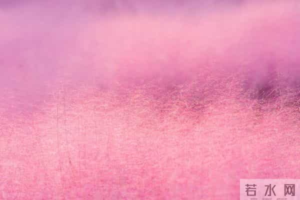 白羊座和这个星座的灵魂默契:王侯宅里弄丝竹,适我愿兮