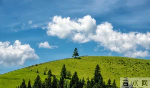 人若愚蠢，一看便知，愚蠢的人，往往有这三个明显特征！