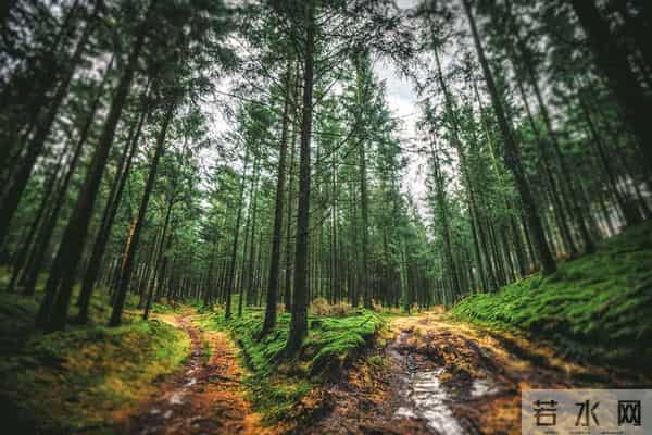 学会一种很厉害的本事：大大方方地“小气”