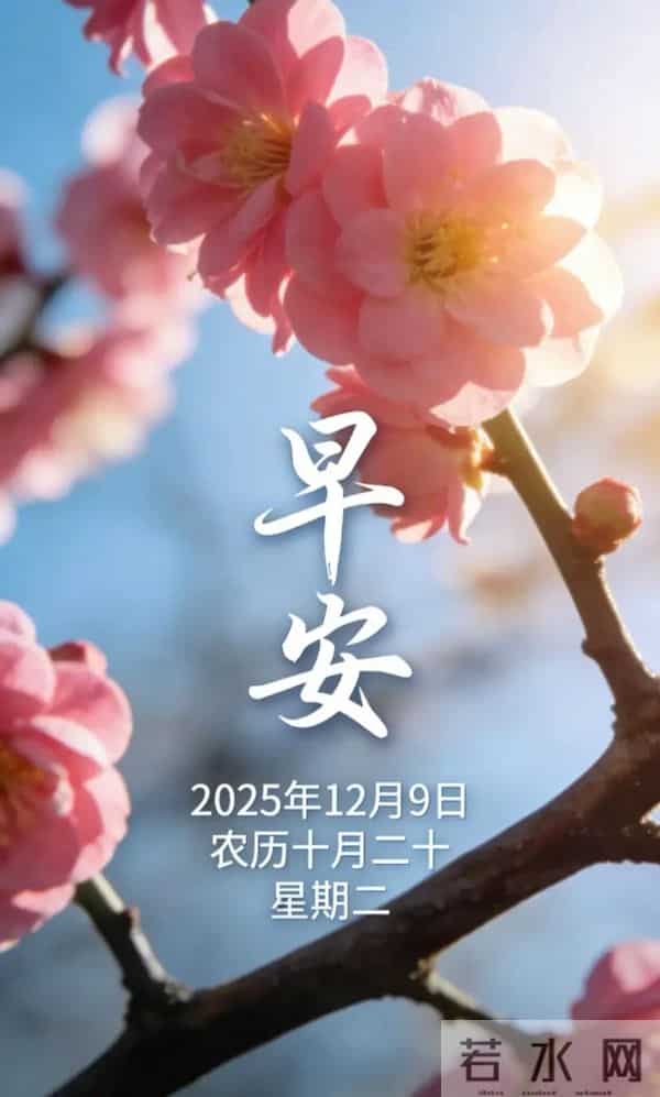2025.12.9 冬天周二早安愉快！最新精美周二早上好温馨祝福语图片