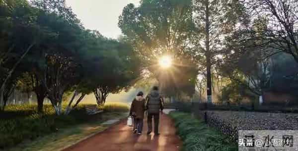 活了大半辈子才懂:人啊,一切都是命