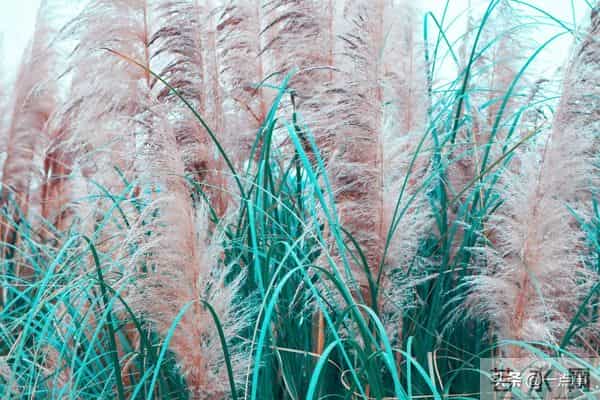 婆婆把房和钱都给了大姑姐，8年后拎包来我家，却说：养儿防老