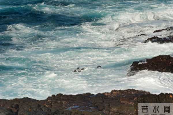 人这一生,养心就是养生,情绪稳定,心态平和,往后余生皆安宁